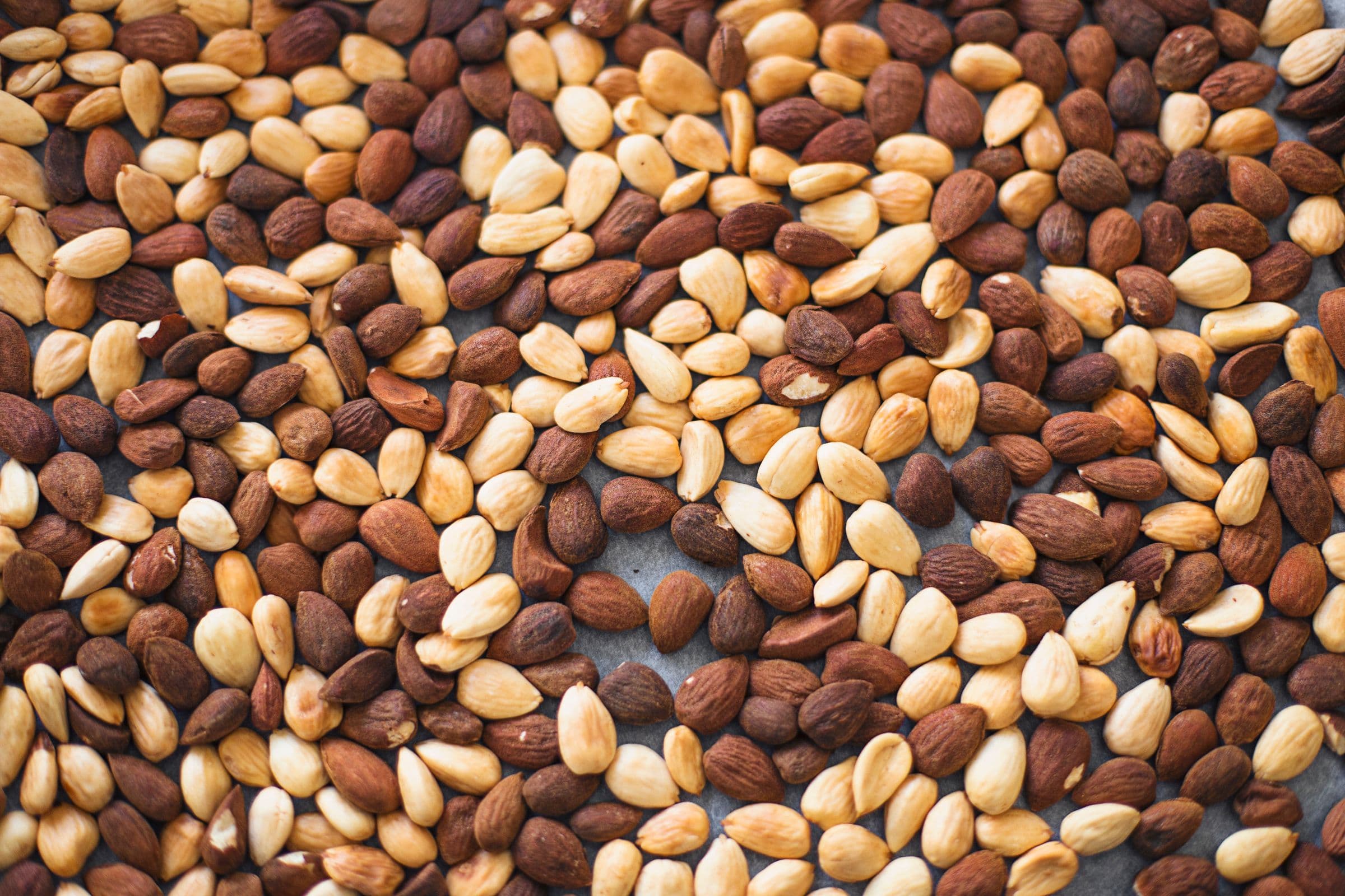 cocoon_cooks_vegan_manteiga_de_amendoa_torrada_1