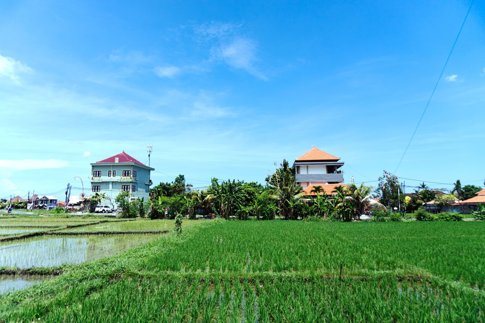 3 semanas em Bali + guia vegan e vegetariano