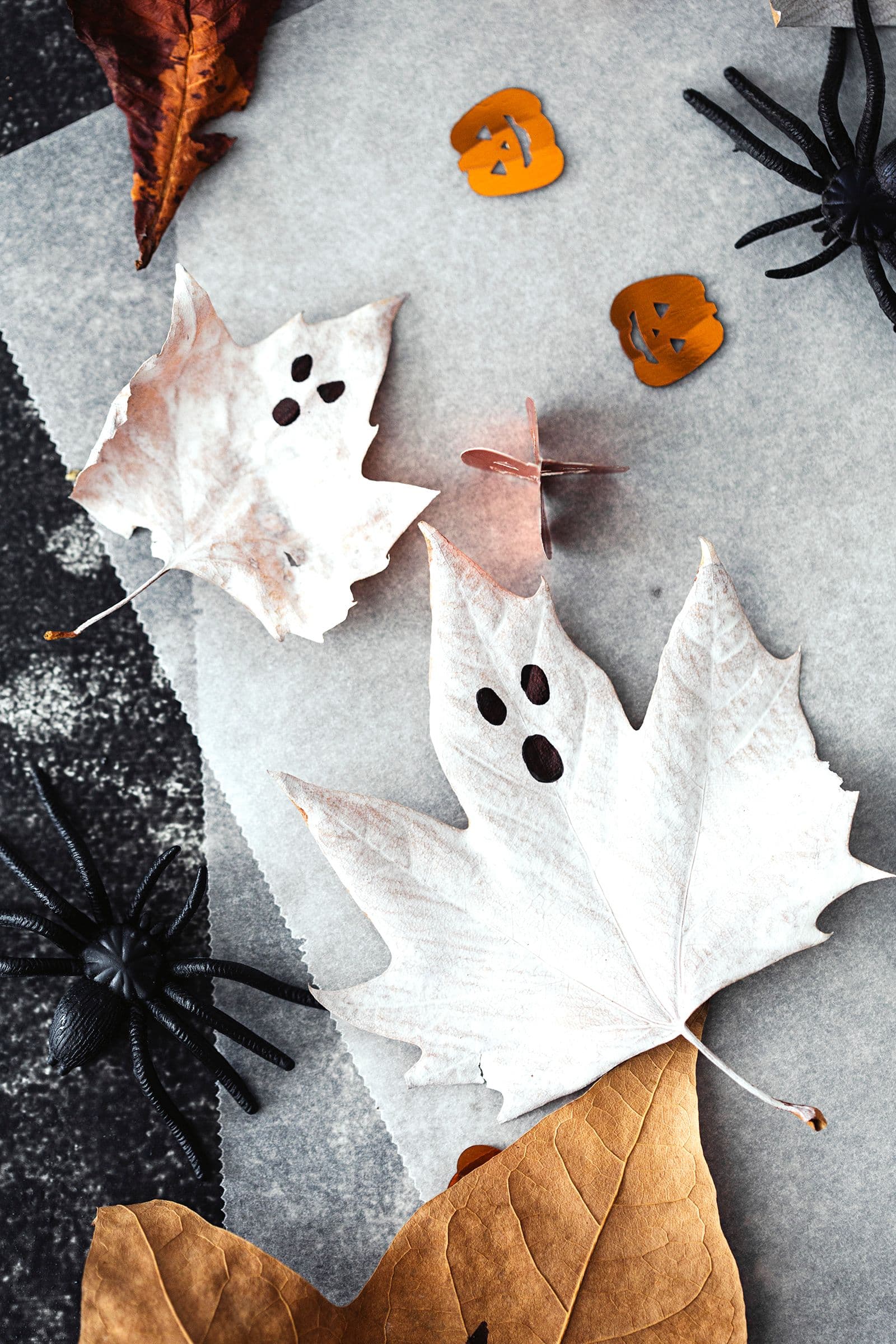 A flat lay of different Halloween decorations.