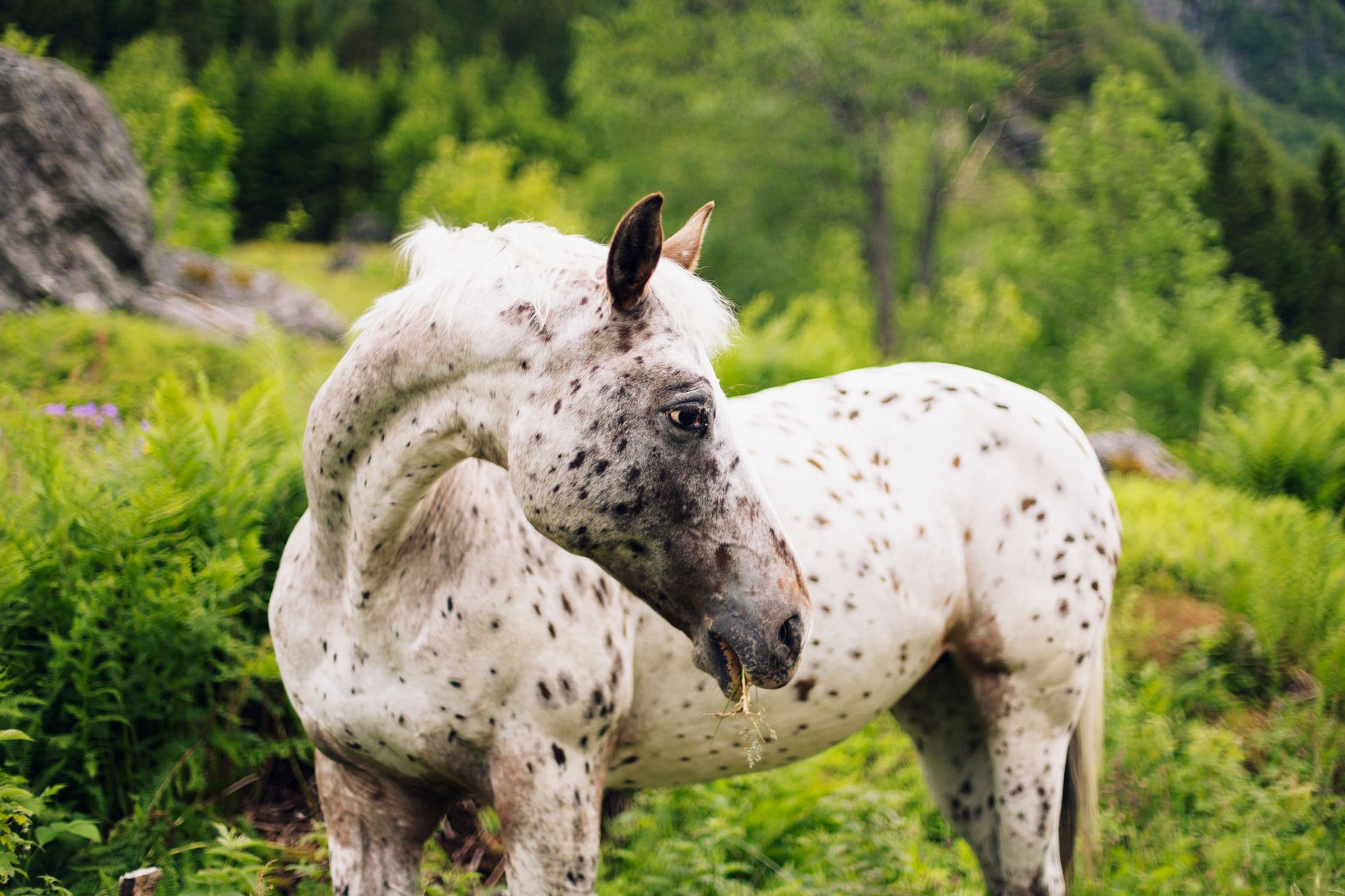 Odda (Noruega & Suécia 2015, Parte II)