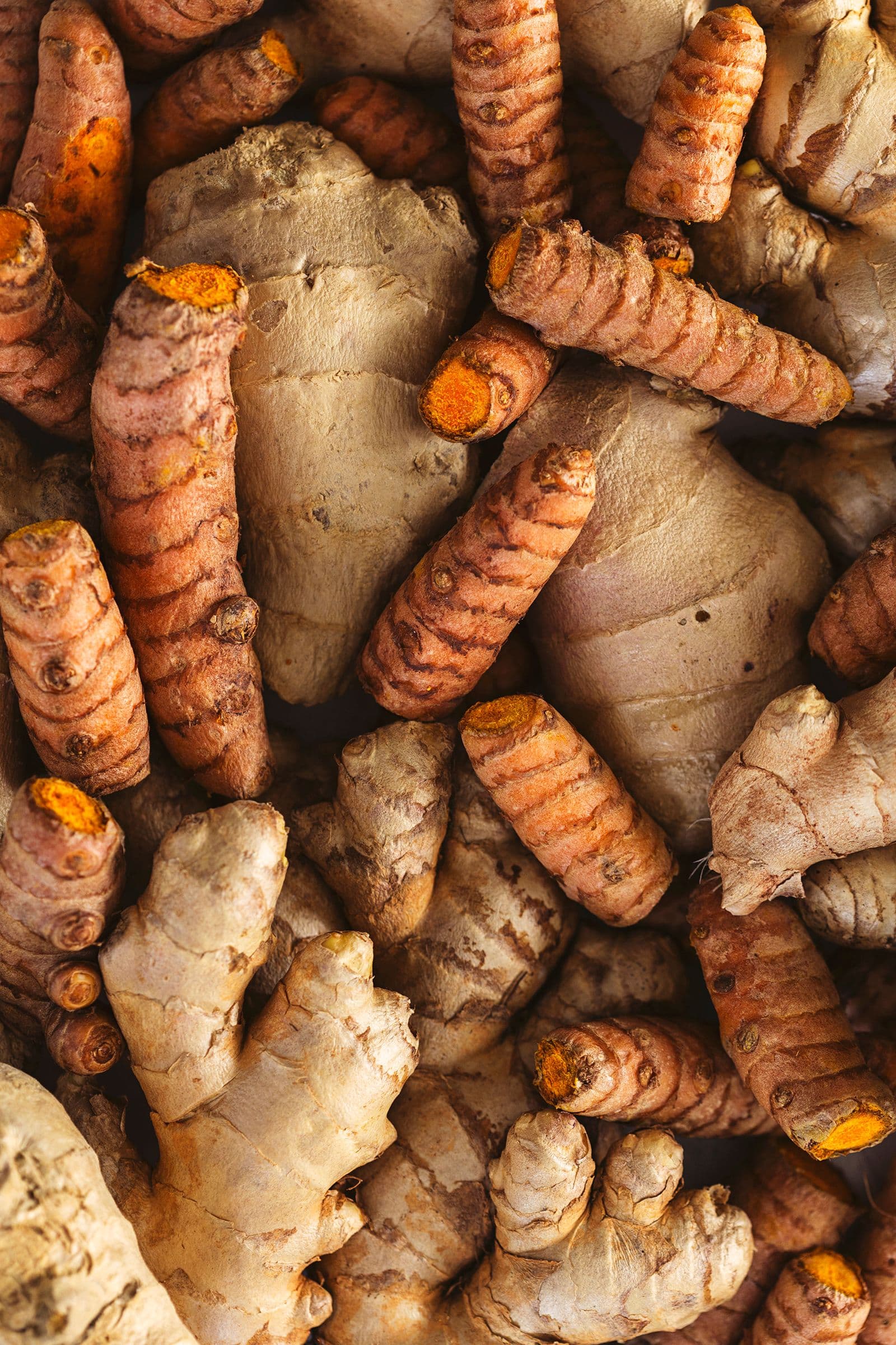 Montinho de rizomas frescos de curcuma e gengibre, com aspeto rústico e terroso.