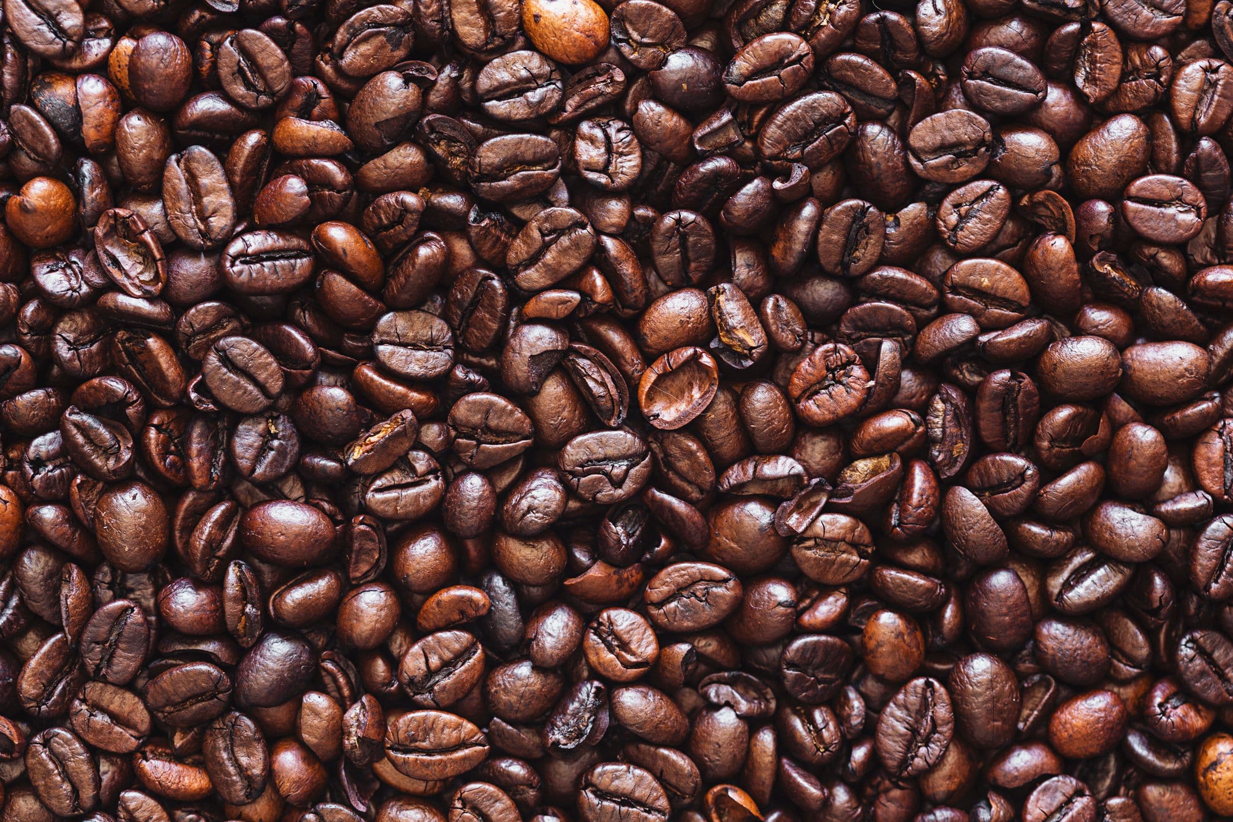 Grãos de café torrados, escuros e brilhantes, vistos de perto.