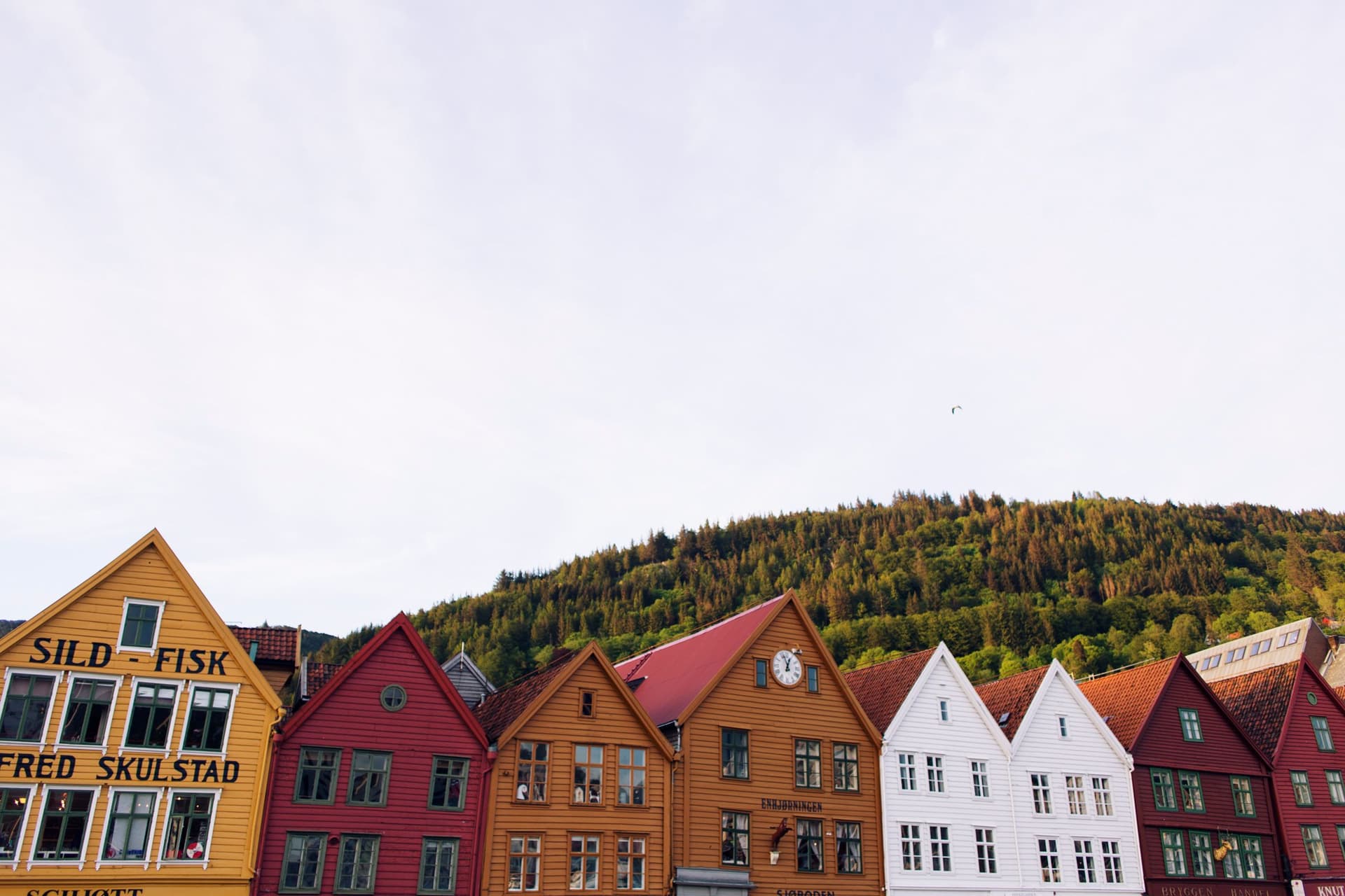 Bergen (Noruega & Suécia 2015, Parte I)